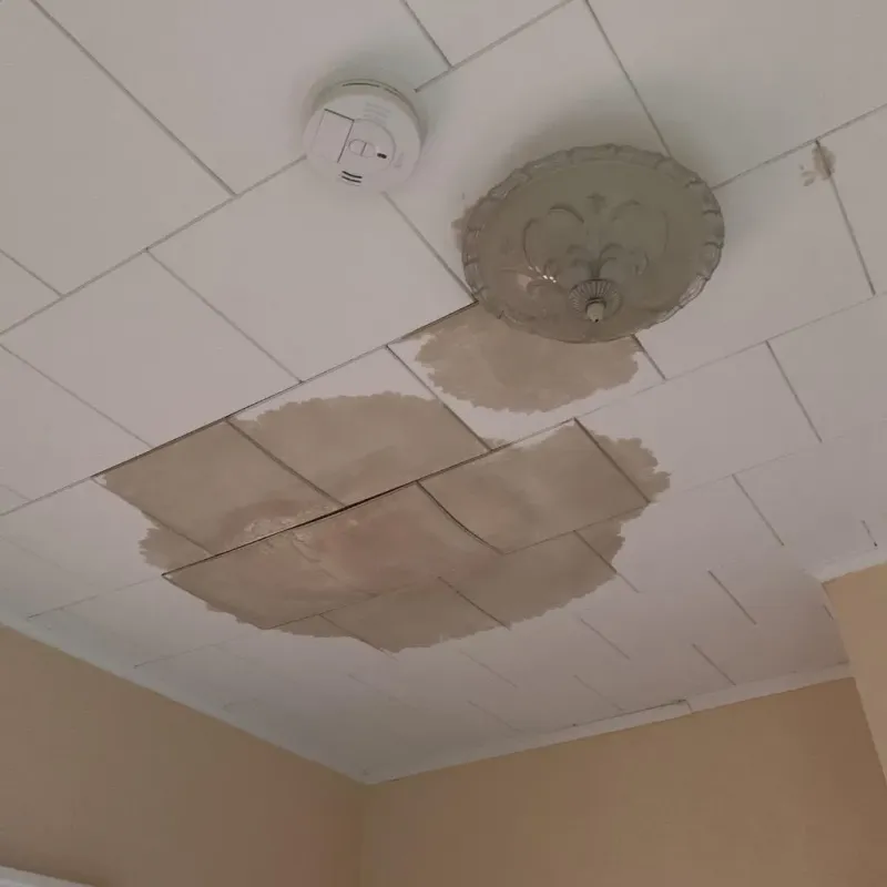 Ceiling Water Damage Repair in North Massapequa, NY